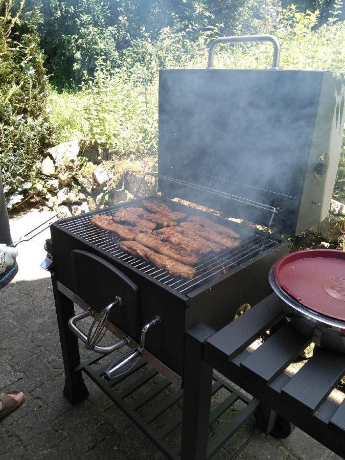 Ferienwohnung Pietzavka Wiesenfelden Bagian luar foto