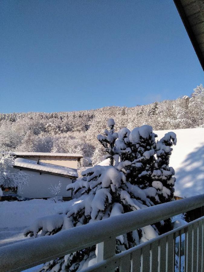 Ferienwohnung Pietzavka Wiesenfelden Bagian luar foto